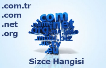 Domain uzantısının değeri