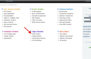 Mx ayarları düzenleme Directadmin Panel