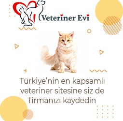 Veteriner Evi